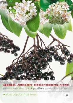 Gazebo Parts Direct Sales Store 27 Aronia Melanocarpa Appelbes Op Stam