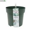 Beautanic Hydrokit 30 Cm -Tuinbenodigdheden Verkoopwinkel beautanic hydrokit 30 cm 750x748 6297565141bc5 l