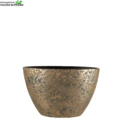 Boot Clemente L41b20h26cm Goud - Mica