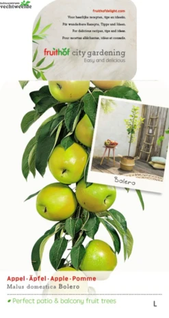 Malus Dom. Bolero Zuilvorm Vp5