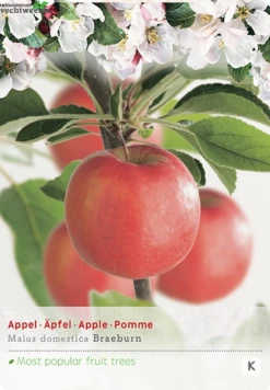 Malus Dom. Braeburn Struik P24