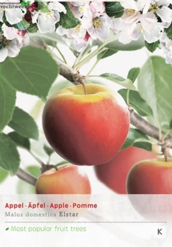 Malus Dom. Elstarstruik P24