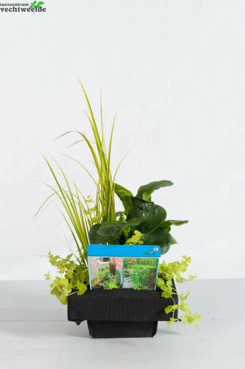 Mix Mand 18 Cm Met Drijfring 3 Mix Mand 18 Cm Met Drijfring