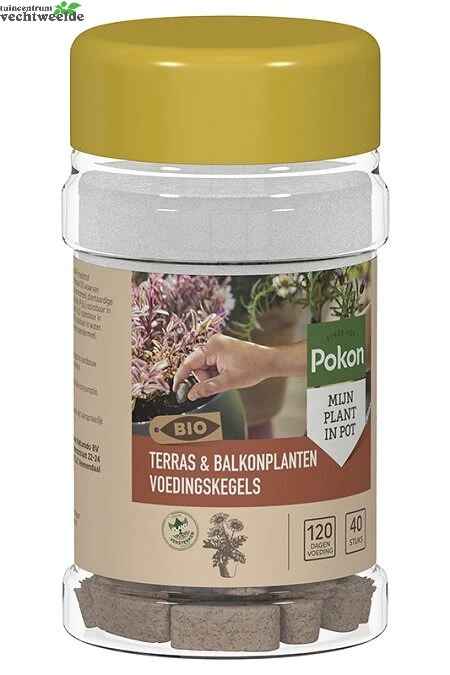 Pokon Bio Terras & Balkon Planten Voedingskegels 40 Stuks 3 Pokon Bio Terras & Balkon Planten Voedingskegels 40 Stuks