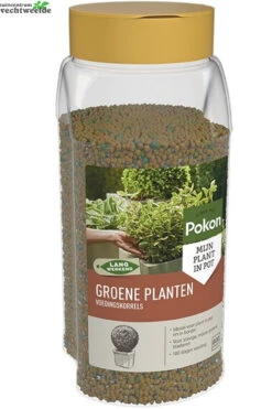 Pokon Groene Planten Langwerkende VoedingsKorrels 800 Gram
