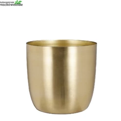 Pot Alano D22h21cm Goud