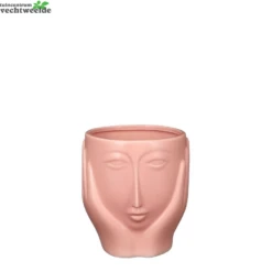 Pot Gezicht L14.5b14.5h16cm Roze
