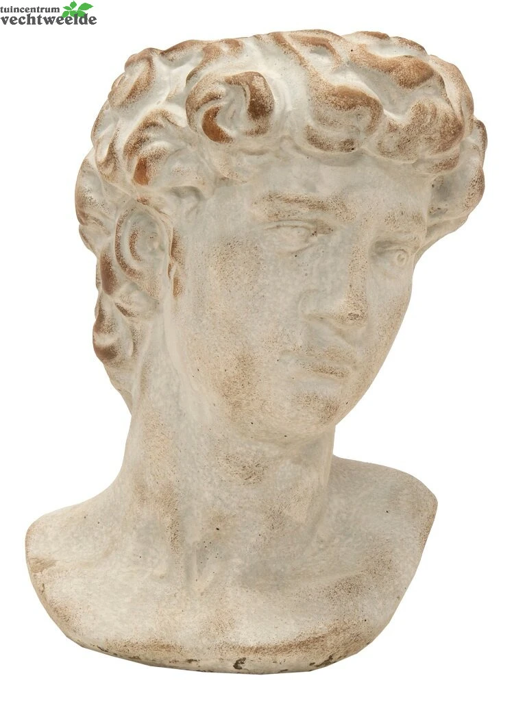 Pot Hoofd David L18b17h25.5cm 3 Pot Hoofd David L18b17h25.5cm