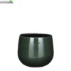 Pot Pablo D18h16cm Donkergroen 2 Pot Pablo D18h16cm Donkergroen -Tuinbenodigdheden Verkoopwinkel pot pablo d18h16cm donkergroen 900x900 6347c8588e79a l