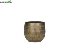 Pot Ryan D22h20cm Shiny Goud