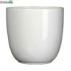 Pot Tusca D39h34.5cm Wit Glans -Tuinbenodigdheden Verkoopwinkel pot tusca d39h34 5cm wit glans 650x647 6207600cb608b l