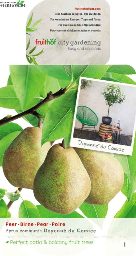 Pyrus C. 'Doyenné Du Comice' 3 Pyrus C. 'Doyenné Du Comice'