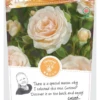 Rosa 'Sweet Honey'® -Tuinbenodigdheden Verkoopwinkel rosa sweet honey 329x683 640b1dbfd010c l