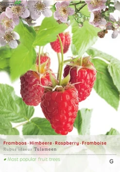 Rubus Id Tulameen Vp5